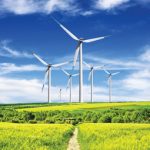 Renewable, yes â€“ but is it environmentally friendly?