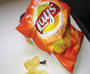 A dead moth was found by a SHEQ Management reader in a new pack of Lay's. along with eggs it had laid on the chips.